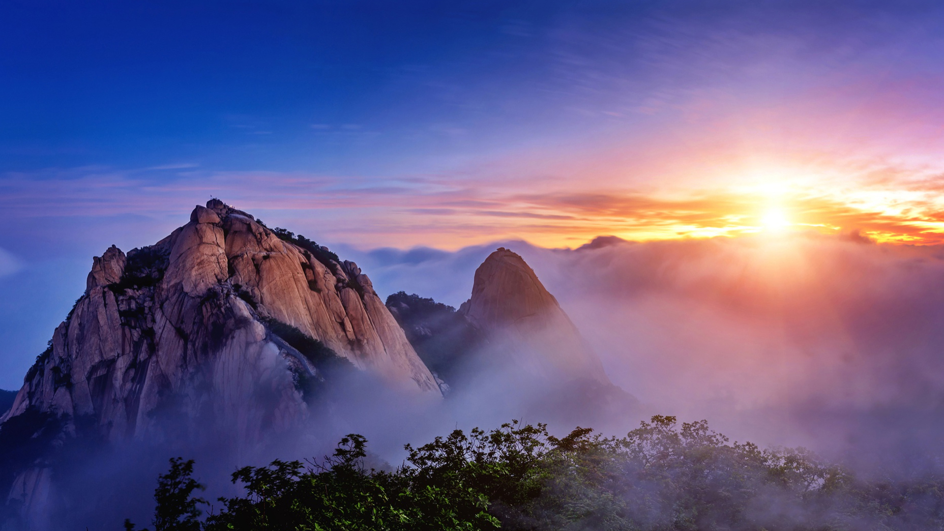 Css Template Preview