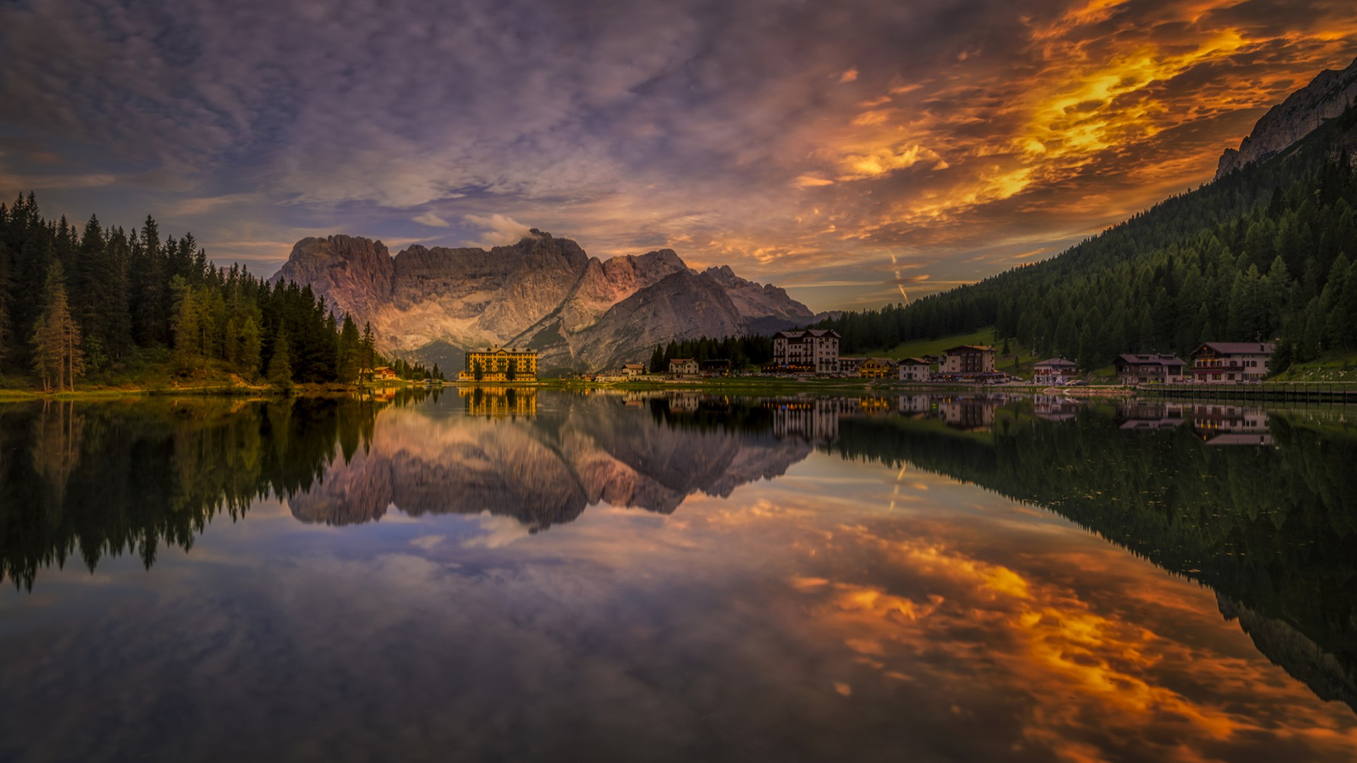 Css Template Preview