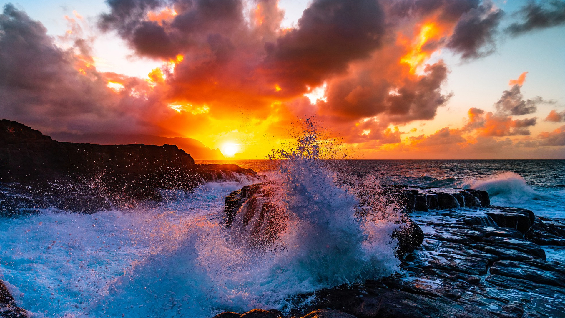 Css Template Preview